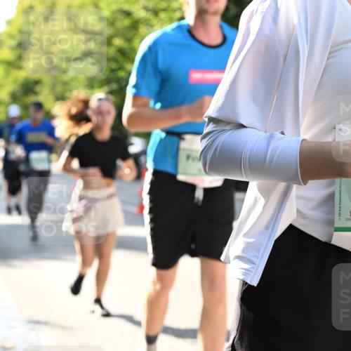 20.09.2026 - PSD Bank Halbmarathon Dr. Thomas Lammeyer http://msf.ph/oto/10504012 20.09.2026 11:00:20 Laufen 4303 meine-sportfotos.de