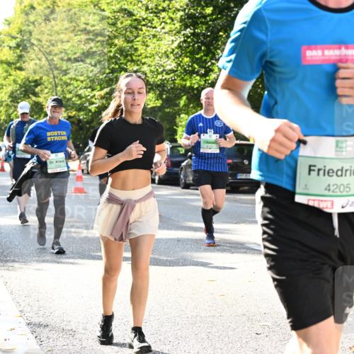20.09.2026 - PSD Bank Halbmarathon Dr. Thomas Lammeyer http://msf.ph/oto/10504018 20.09.2026 11:00:20 Laufen 1704, 4205 meine-sportfotos.de