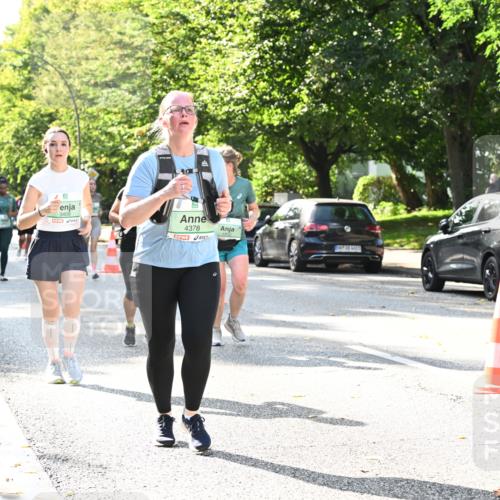 20.09.2026 - PSD Bank Halbmarathon Dr. Thomas Lammeyer http://msf.ph/oto/10504094 20.09.2026 11:00:29 Laufen 3409, 0, 4378 meine-sportfotos.de