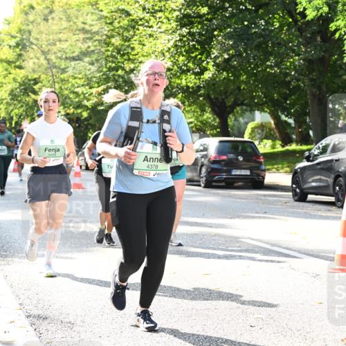 20.09.2026 - PSD Bank Halbmarathon Dr. Thomas Lammeyer http://msf.ph/oto/10504100 20.09.2026 11:00:29 Laufen 3409, 4378 meine-sportfotos.de