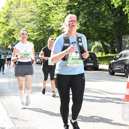 20.09.2026 - PSD Bank Halbmarathon Dr. Thomas Lammeyer http://msf.ph/oto/10504104 20.09.2026 11:00:30 Laufen 3409, 4378, 4683 meine-sportfotos.de