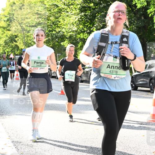 20.09.2026 - PSD Bank Halbmarathon Dr. Thomas Lammeyer http://msf.ph/oto/10504107 20.09.2026 11:00:30 Laufen 3556, 4378, 3409 meine-sportfotos.de