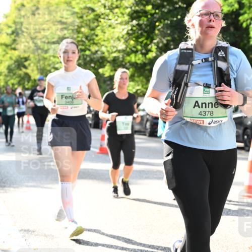 20.09.2026 - PSD Bank Halbmarathon Dr. Thomas Lammeyer http://msf.ph/oto/10504109 20.09.2026 11:00:30 Laufen 3409, 4378 meine-sportfotos.de
