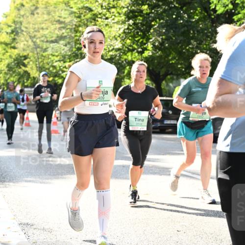 20.09.2026 - PSD Bank Halbmarathon Dr. Thomas Lammeyer http://msf.ph/oto/10504112 20.09.2026 11:00:31 Laufen 409, 3556, 0, 1952, 4378 meine-sportfotos.de