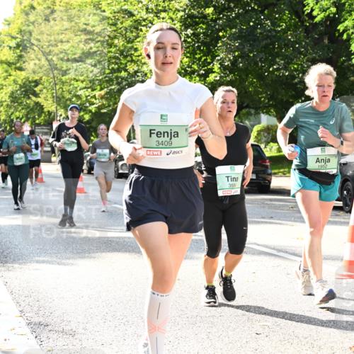 20.09.2026 - PSD Bank Halbmarathon Dr. Thomas Lammeyer http://msf.ph/oto/10504117 20.09.2026 11:00:31 Laufen 3409, 3556, 1952 meine-sportfotos.de