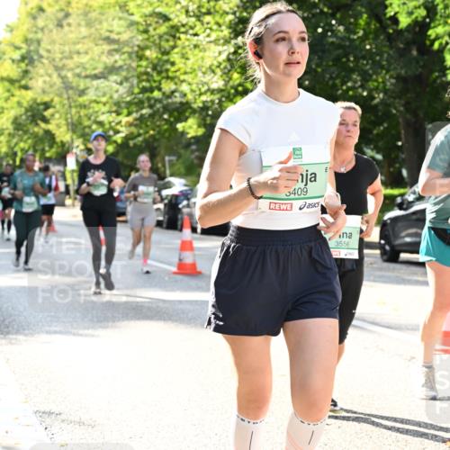 20.09.2026 - PSD Bank Halbmarathon Dr. Thomas Lammeyer http://msf.ph/oto/10504118 20.09.2026 11:00:31 Laufen 3409, 3556, 1952 meine-sportfotos.de