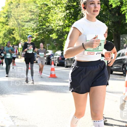 20.09.2026 - PSD Bank Halbmarathon Dr. Thomas Lammeyer http://msf.ph/oto/10504120 20.09.2026 11:00:31 Laufen 3409, 1952 meine-sportfotos.de