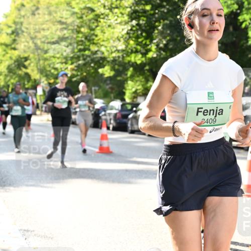 20.09.2026 - PSD Bank Halbmarathon Dr. Thomas Lammeyer http://msf.ph/oto/10504123 20.09.2026 11:00:32 Laufen 2409, 1952 meine-sportfotos.de