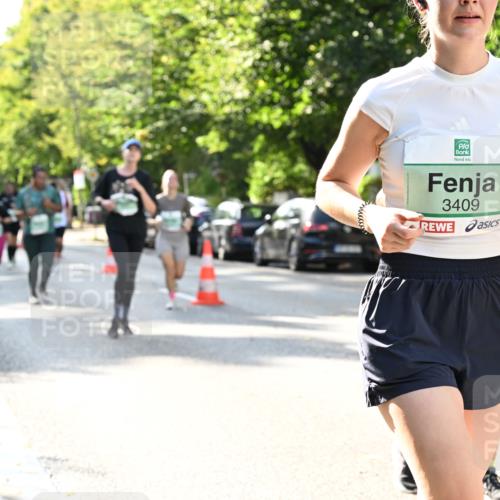 20.09.2026 - PSD Bank Halbmarathon Dr. Thomas Lammeyer http://msf.ph/oto/10504125 20.09.2026 11:00:32 Laufen 3409 meine-sportfotos.de