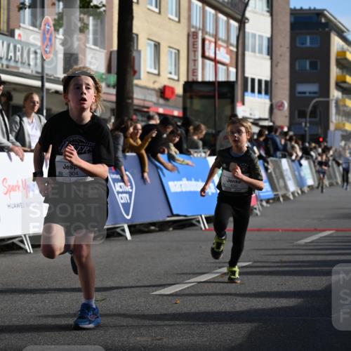 20.09.2026 - PSD Bank Halbmarathon J. Mangold http://msf.ph/oto/10504170 20.09.2026 10:30:46 Ziel 304, 430 meine-sportfotos.de