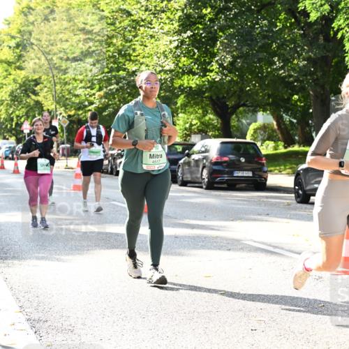 20.09.2026 - PSD Bank Halbmarathon Dr. Thomas Lammeyer http://msf.ph/oto/10504176 20.09.2026 11:00:36 Laufen 1, 2, 4517 meine-sportfotos.de