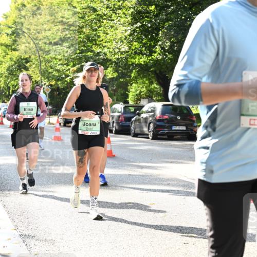 20.09.2026 - PSD Bank Halbmarathon Dr. Thomas Lammeyer http://msf.ph/oto/10504280 20.09.2026 11:00:44 Laufen 3666, 1976, 3, 2444, 4683, 250 meine-sportfotos.de