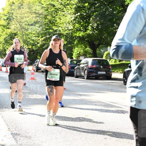20.09.2026 - PSD Bank Halbmarathon Dr. Thomas Lammeyer http://msf.ph/oto/10504282 20.09.2026 11:00:44 Laufen 3666, 2444, 1976 meine-sportfotos.de