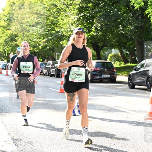 20.09.2026 - PSD Bank Halbmarathon Dr. Thomas Lammeyer http://msf.ph/oto/10504293 20.09.2026 11:00:45 Laufen 3666, 2444 meine-sportfotos.de