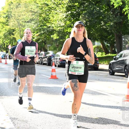20.09.2026 - PSD Bank Halbmarathon Dr. Thomas Lammeyer http://msf.ph/oto/10504297 20.09.2026 11:00:45 Laufen 3666, 2444 meine-sportfotos.de