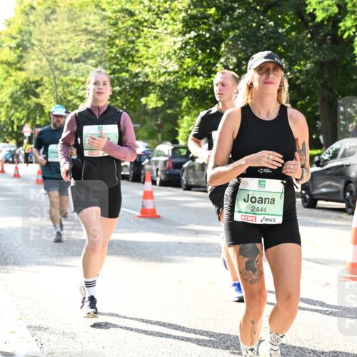 20.09.2026 - PSD Bank Halbmarathon Dr. Thomas Lammeyer http://msf.ph/oto/10504299 20.09.2026 11:00:45 Laufen 2444 meine-sportfotos.de