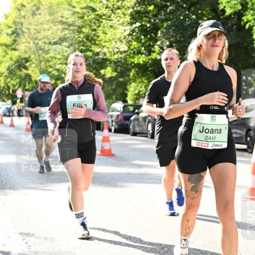 20.09.2026 - PSD Bank Halbmarathon Dr. Thomas Lammeyer http://msf.ph/oto/10504302 20.09.2026 11:00:45 Laufen 2444 meine-sportfotos.de