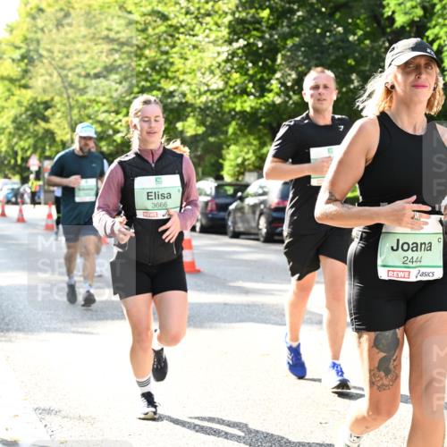 20.09.2026 - PSD Bank Halbmarathon Dr. Thomas Lammeyer http://msf.ph/oto/10504304 20.09.2026 11:00:46 Laufen 3666, 2444 meine-sportfotos.de