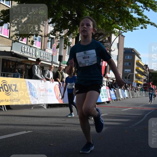20.09.2026 - PSD Bank Halbmarathon J. Mangold http://msf.ph/oto/10504366 20.09.2026 10:31:30 Ziel 189, 208, 210, 215, 219, 223, 260, 265, 322, 375, 414, 450, 451 meine-sportfotos.de