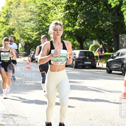 20.09.2026 - PSD Bank Halbmarathon Dr. Thomas Lammeyer http://msf.ph/oto/10504471 20.09.2026 11:00:56 Laufen 2737, 4244 meine-sportfotos.de