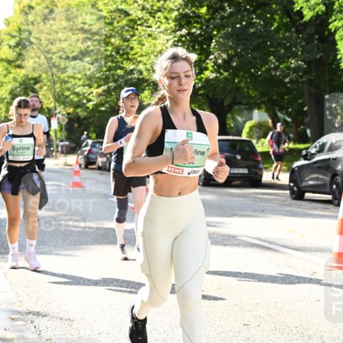 20.09.2026 - PSD Bank Halbmarathon Dr. Thomas Lammeyer http://msf.ph/oto/10504472 20.09.2026 11:00:57 Laufen 2737, 4 meine-sportfotos.de
