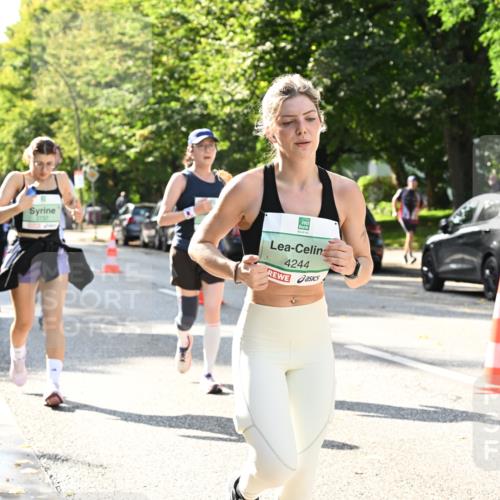 20.09.2026 - PSD Bank Halbmarathon Dr. Thomas Lammeyer http://msf.ph/oto/10504475 20.09.2026 11:00:57 Laufen 4244 meine-sportfotos.de