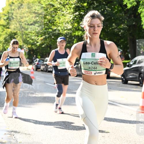 20.09.2026 - PSD Bank Halbmarathon Dr. Thomas Lammeyer http://msf.ph/oto/10504477 20.09.2026 11:00:57 Laufen 4244 meine-sportfotos.de