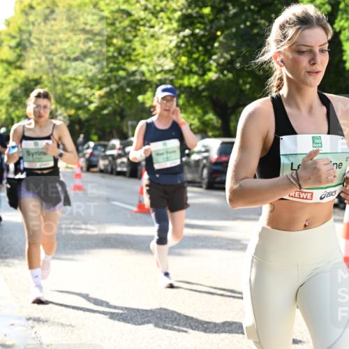 20.09.2026 - PSD Bank Halbmarathon Dr. Thomas Lammeyer http://msf.ph/oto/10504482 20.09.2026 11:00:57 Laufen  meine-sportfotos.de
