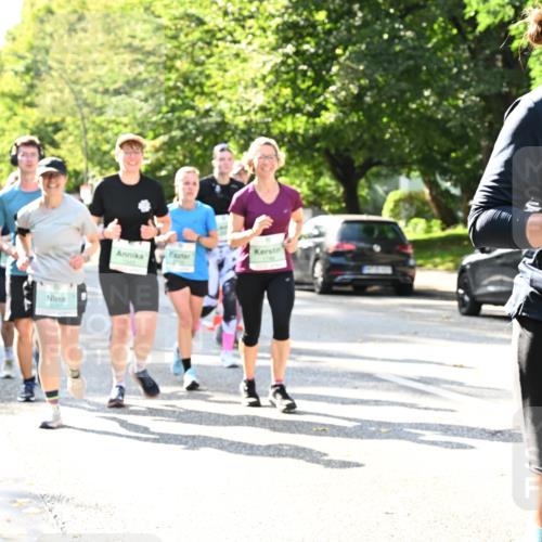 20.09.2026 - PSD Bank Halbmarathon Dr. Thomas Lammeyer http://msf.ph/oto/10504587 20.09.2026 11:01:05 Laufen 1082 meine-sportfotos.de