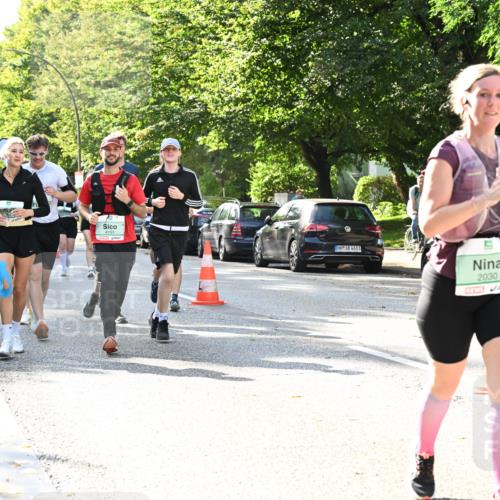 20.09.2026 - PSD Bank Halbmarathon Dr. Thomas Lammeyer http://msf.ph/oto/10504648 20.09.2026 11:01:09 Laufen 4191, 4683, 2030 meine-sportfotos.de