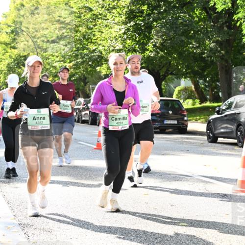 20.09.2026 - PSD Bank Halbmarathon Dr. Thomas Lammeyer http://msf.ph/oto/10504796 20.09.2026 11:01:20 Laufen 4282, 4281, 608 meine-sportfotos.de