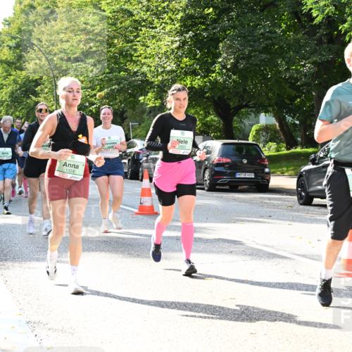 20.09.2026 - PSD Bank Halbmarathon Dr. Thomas Lammeyer http://msf.ph/oto/10504876 20.09.2026 11:01:25 Laufen 34, 1324, 2809, 2860, 4683, 2382 meine-sportfotos.de