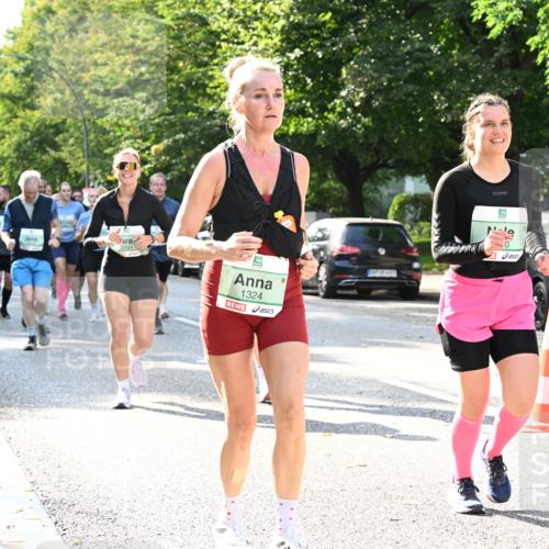 20.09.2026 - PSD Bank Halbmarathon Dr. Thomas Lammeyer http://msf.ph/oto/10504897 20.09.2026 11:01:27 Laufen 1324 meine-sportfotos.de