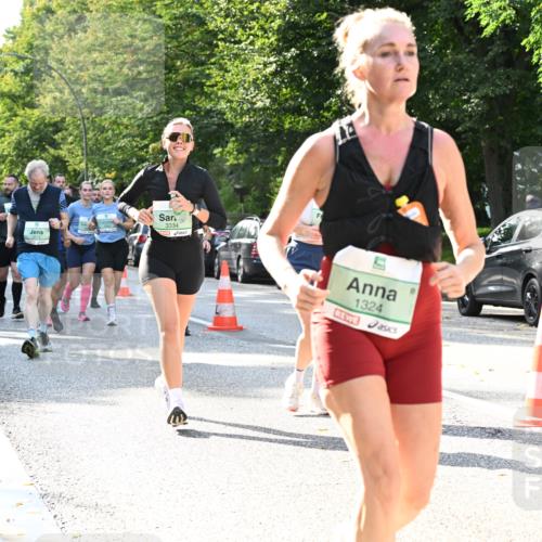 20.09.2026 - PSD Bank Halbmarathon Dr. Thomas Lammeyer http://msf.ph/oto/10504906 20.09.2026 11:01:27 Laufen 3215, 3334, 1324, 286 meine-sportfotos.de