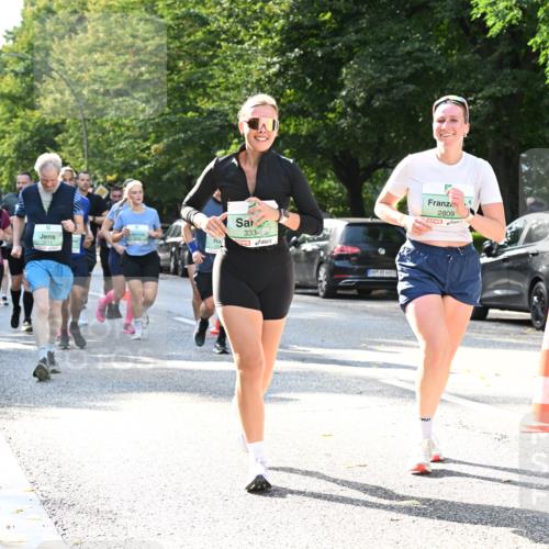 20.09.2026 - PSD Bank Halbmarathon Dr. Thomas Lammeyer http://msf.ph/oto/10504917 20.09.2026 11:01:28 Laufen 333, 2809 meine-sportfotos.de