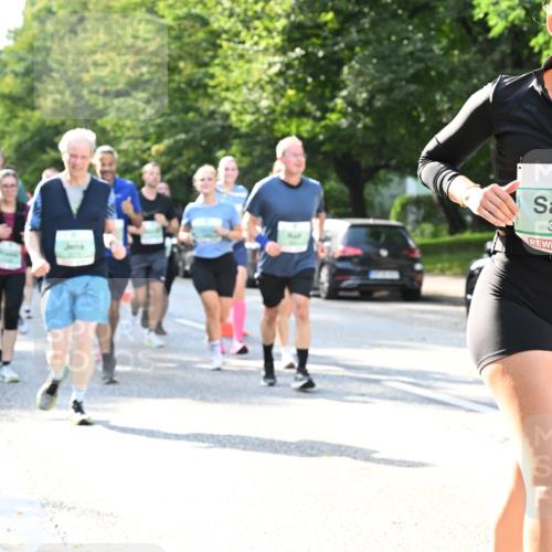 20.09.2026 - PSD Bank Halbmarathon Dr. Thomas Lammeyer http://msf.ph/oto/10504933 20.09.2026 11:01:29 Laufen 3334 meine-sportfotos.de