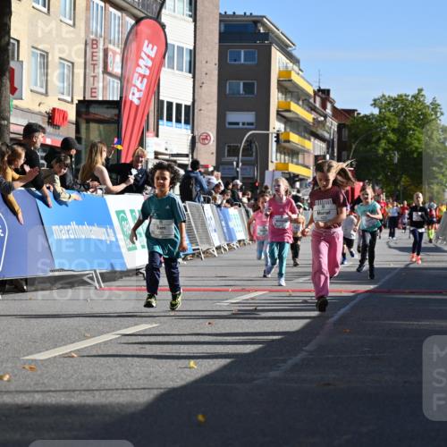 20.09.2026 - PSD Bank Halbmarathon J. Mangold http://msf.ph/oto/10504998 20.09.2026 10:34:38 Ziel 119, 161, 195, 378, 383, 400, 401, 403, 428, 452 meine-sportfotos.de