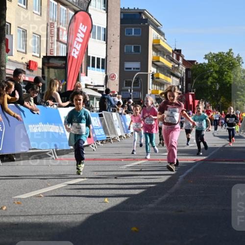 20.09.2026 - PSD Bank Halbmarathon J. Mangold http://msf.ph/oto/10505001 20.09.2026 10:34:38 Ziel 119, 161, 195, 378, 383, 400, 401, 403, 428, 452 meine-sportfotos.de