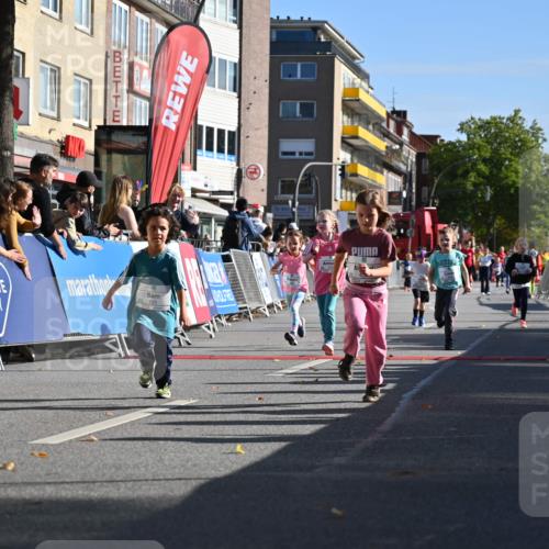 20.09.2026 - PSD Bank Halbmarathon J. Mangold http://msf.ph/oto/10505003 20.09.2026 10:34:39 Ziel 119, 161, 195, 378, 383, 400, 401, 403, 428, 452 meine-sportfotos.de