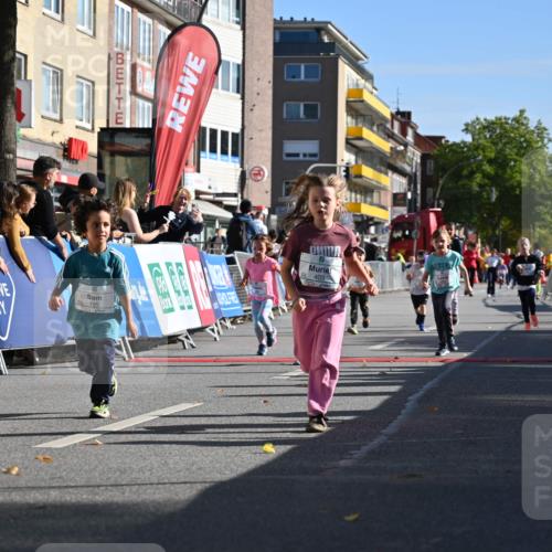 20.09.2026 - PSD Bank Halbmarathon J. Mangold http://msf.ph/oto/10505009 20.09.2026 10:34:39 Ziel 119, 161, 195, 378, 383, 400, 401, 403, 428, 452 meine-sportfotos.de