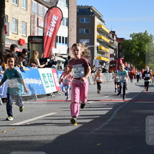 20.09.2026 - PSD Bank Halbmarathon J. Mangold http://msf.ph/oto/10505011 20.09.2026 10:34:39 Ziel 119, 161, 195, 378, 383, 400, 401, 403, 428, 452 meine-sportfotos.de