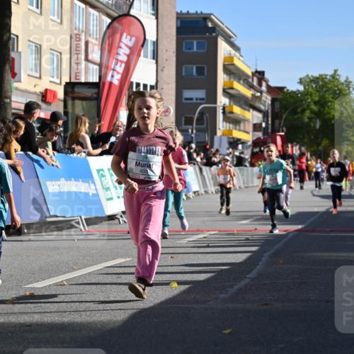 20.09.2026 - PSD Bank Halbmarathon J. Mangold http://msf.ph/oto/10505014 20.09.2026 10:34:40 Ziel 119, 161, 195, 378, 383, 400, 401, 403, 428, 452 meine-sportfotos.de