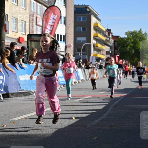 20.09.2026 - PSD Bank Halbmarathon J. Mangold http://msf.ph/oto/10505017 20.09.2026 10:34:40 Ziel 119, 161, 195, 378, 383, 400, 401, 403, 428, 452 meine-sportfotos.de