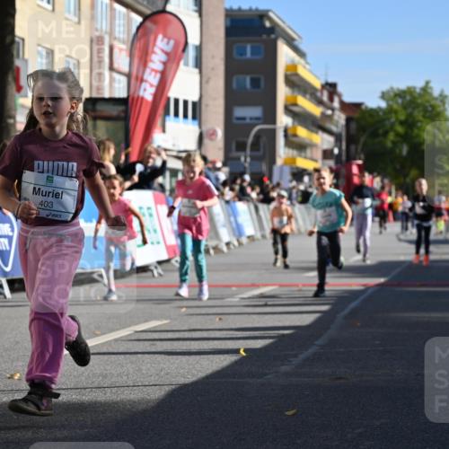 20.09.2026 - PSD Bank Halbmarathon J. Mangold http://msf.ph/oto/10505020 20.09.2026 10:34:40 Ziel 119, 161, 195, 378, 383, 400, 401, 403, 428, 452 meine-sportfotos.de