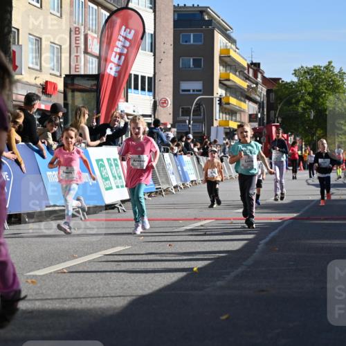 20.09.2026 - PSD Bank Halbmarathon J. Mangold http://msf.ph/oto/10505023 20.09.2026 10:34:40 Ziel 119, 161, 195, 378, 383, 400, 401, 403, 428, 452 meine-sportfotos.de