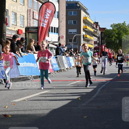 20.09.2026 - PSD Bank Halbmarathon J. Mangold http://msf.ph/oto/10505030 20.09.2026 10:34:41 Ziel 119, 161, 195, 378, 383, 400, 401, 403, 428, 452 meine-sportfotos.de
