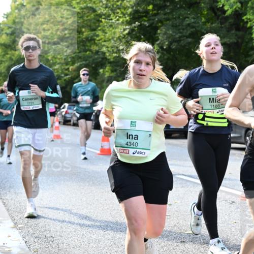 20.09.2026 - PSD Bank Halbmarathon Dr. Thomas Lammeyer http://msf.ph/oto/10505046 20.09.2026 11:01:37 Laufen 1731, 4340, 1186, 1 meine-sportfotos.de