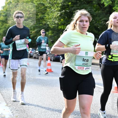 20.09.2026 - PSD Bank Halbmarathon Dr. Thomas Lammeyer http://msf.ph/oto/10505050 20.09.2026 11:01:37 Laufen 1731, 4340, 1186, 0 meine-sportfotos.de