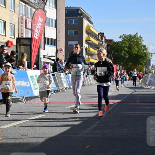 20.09.2026 - PSD Bank Halbmarathon J. Mangold http://msf.ph/oto/10505066 20.09.2026 10:34:45 Ziel 119, 161, 195, 334, 378, 383, 401, 403, 428, 452 meine-sportfotos.de