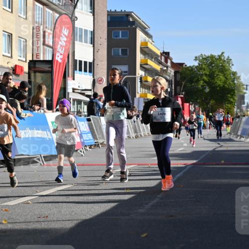 20.09.2026 - PSD Bank Halbmarathon J. Mangold http://msf.ph/oto/10505068 20.09.2026 10:34:45 Ziel 119, 161, 195, 334, 378, 383, 401, 403, 428, 452 meine-sportfotos.de